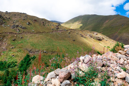 Mountain landscape in the summer. Caucasus, Georgia, region Gudauri.