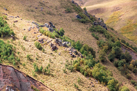 A hillside with a rocky terrain and a few trees. The hillside is covered in grass and rocks, and the trees are scattered throughout the areaの写真素材