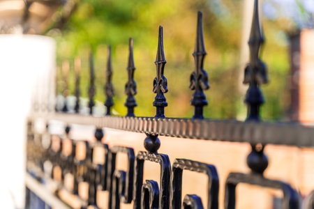 A black wrought iron fence with a blue pool in the background. The fence has a lot of detail and...