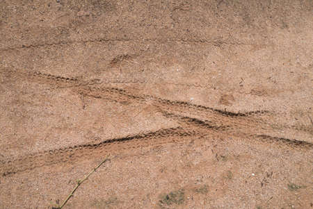 Tyres prints on beachの写真素材