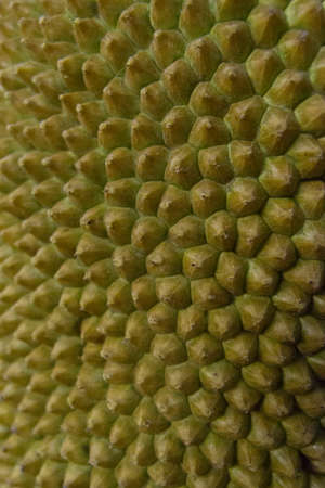 jackfruit texture