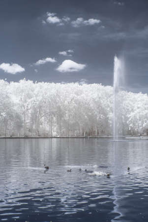Sceaux park in infrared (Paris)の写真素材