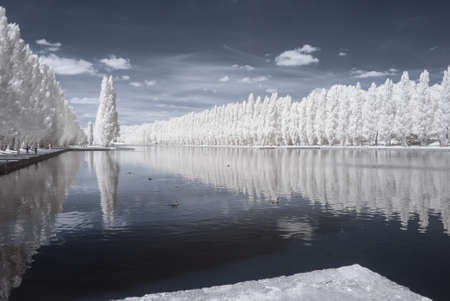 Sceaux park in infrared (Paris)の写真素材