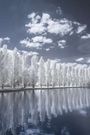 Sceaux park in infrared (Paris)の写真素材