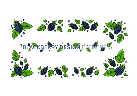 Blackberry line art vector illustration. Blackberry design elements creative concept. Graphic design for poster, banner, placard.のイラスト素材