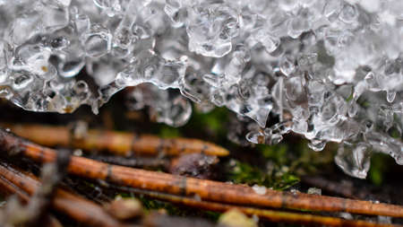 spring iceの写真素材