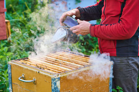 Close up view of the working bees on the honeycomb with sweet honey. Honey is beekeeping healthy produce.の写真素材