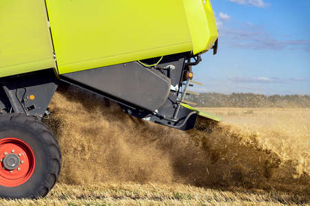 Combine harvester harvests ripe wheat. agriculture image