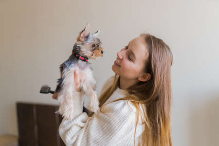 Young woman playing with dog on weekend day at home. Happy yorkshire terrier puppyの写真素材