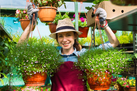 Woman gardener in hat and gloves works with flowers in the greenhouse.の写真素材