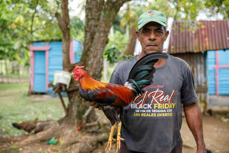 Cock-fights. Traditional gambling in the Dominican Republic.のeditorial素材
