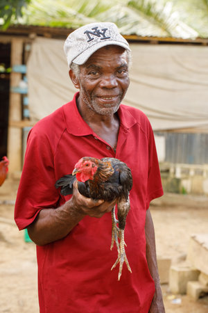 2022.19.03 Dominican Republic. La altagracia La Guama. An elderly portrait of an elderly man holding a fighting cock.のeditorial素材
