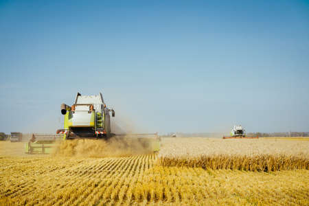 Combine harvester harvests ripe wheat. Concept of a rich harvest. Agriculture image
