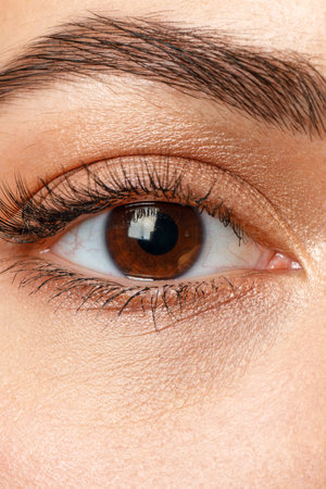 A closeup of a womans eye enhanced with beautiful mascara