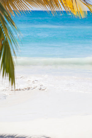A beautiful and tranquil beach scene featuring gentle ocean waves and swaying palm leavesの写真素材