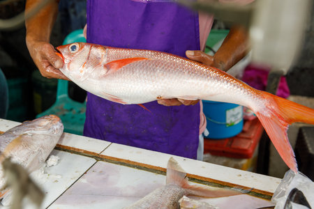 Fresh red snapper held by fish vendor at wet market in Philippines with cutting table and seafood in backgroundの写真素材