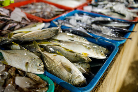Assorted fresh fish on trays at seafood market displayの写真素材
