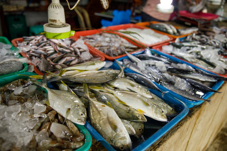 Assorted fresh fish on trays at seafood market displayの写真素材
