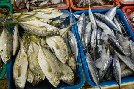 Assorted fresh fish on trays at seafood market displayの写真素材