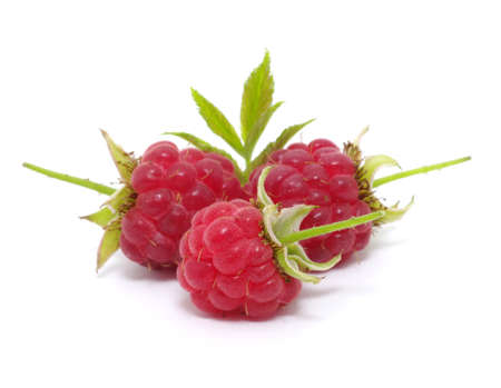 Raspberry on a white background