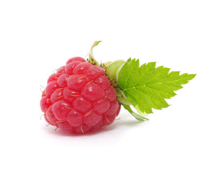 Raspberry on a white background
