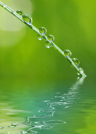 water drops on the green grassの写真素材