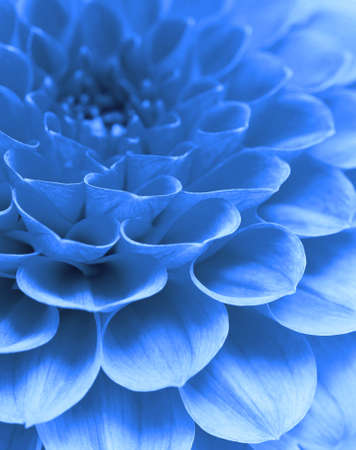 Abstract petals of a flowerの写真素材