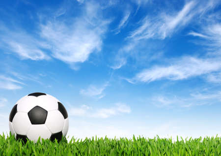 soccer ball on the grass - footballの写真素材