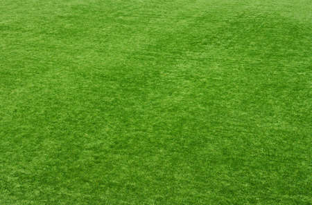 Background of a green grass. Texture green lawnの写真素材