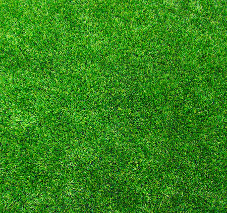 Background of a green grass. Texture green lawnの写真素材