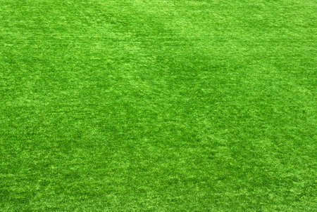 Background of a green grass. Texture green lawnの写真素材