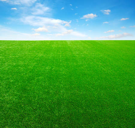  green grass field and bright blue skyの写真素材