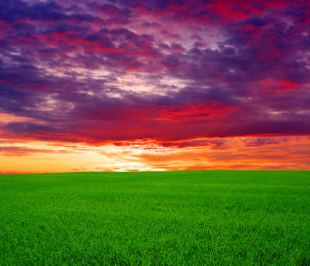 green field and beautiful sunsetの写真素材
