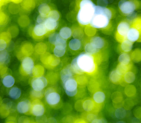 green bokeh abstract light backgroundの写真素材