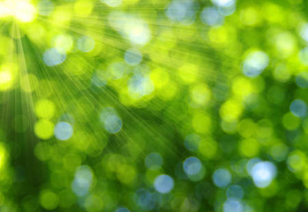 green bokeh abstract light background