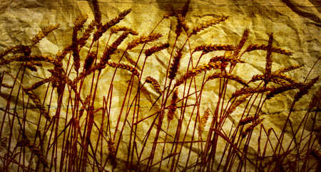 Wheat ears on vintage background の写真素材