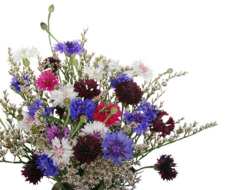 Background of the beautiful flowers の写真素材
