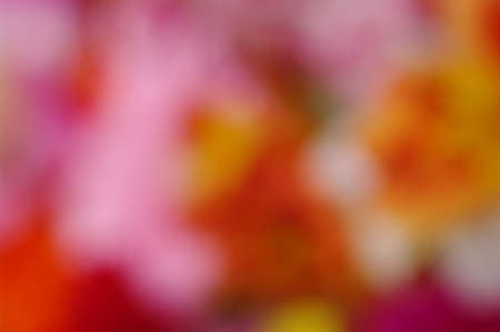the multicoloured abstract light background