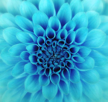 Abstract petals of a flowerの写真素材