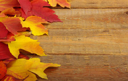  autumn leaves on wooden background