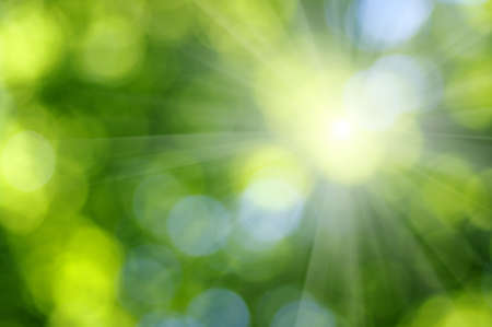 Green blurred background and sunlightの写真素材