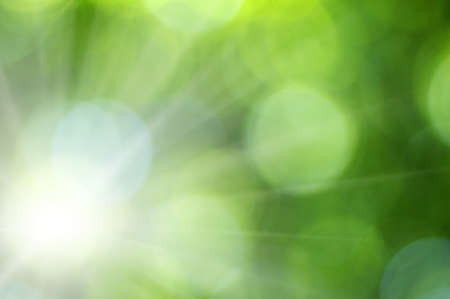 Green blurred background and sunlightの写真素材