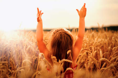 Girl on a wheat field in the sunset.の写真素材