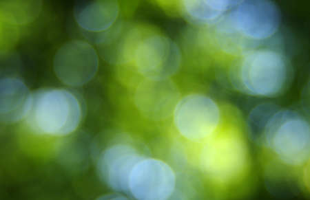green bokeh abstract light background