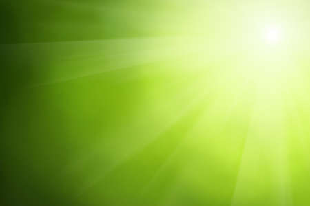 Green blurred background and sunlightの写真素材