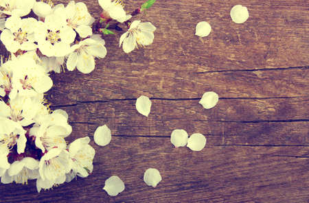 Spring blossoms on wood background with the effect of toningの写真素材