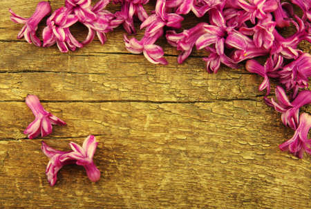 Spring blossoms on wood background with the effect of toningの写真素材