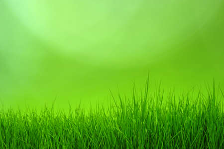 green bokeh abstract light background