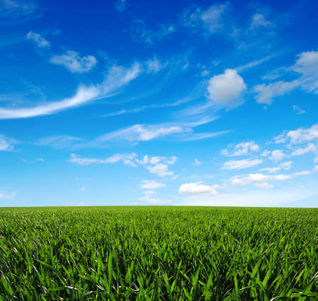 green field and blue skyの写真素材