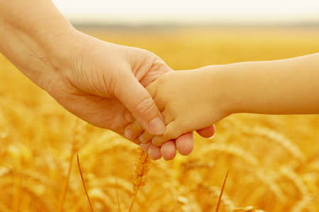 Hands of mother and daughter holding each other on wheat fieldの写真素材